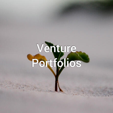 Venture Portfolios